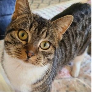 Meet your Posher, Jane